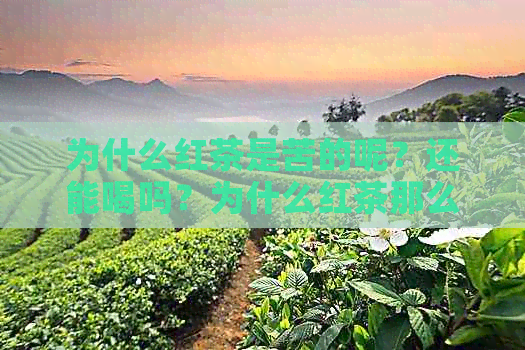 为什么红茶是苦的呢？还能喝吗？为什么红茶那么苦？