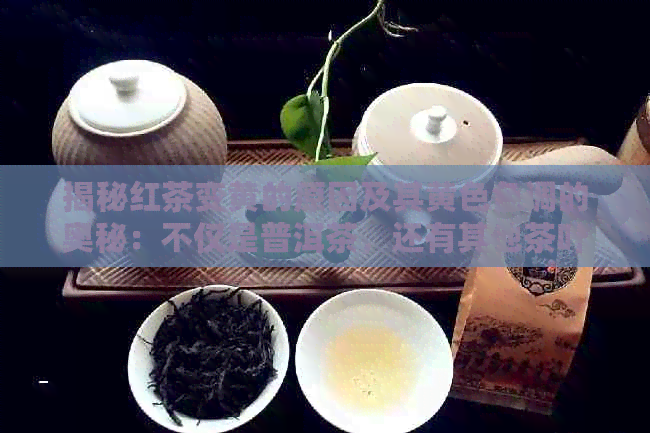 揭秘红茶变黄的原因及其黄     调的奥秘：不仅是普洱茶，还有其他茶叶的解析