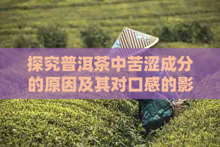 探究普洱茶中苦涩成分的原因及其对口感的影响