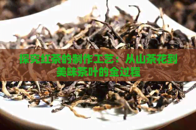 探究红茶的制作工艺：从山茶花到美味茶叶的全过程