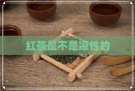 红茶是不是凉性的