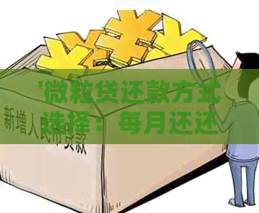 '微粒贷还款方式选择：每月还还是一年后一次性还清'