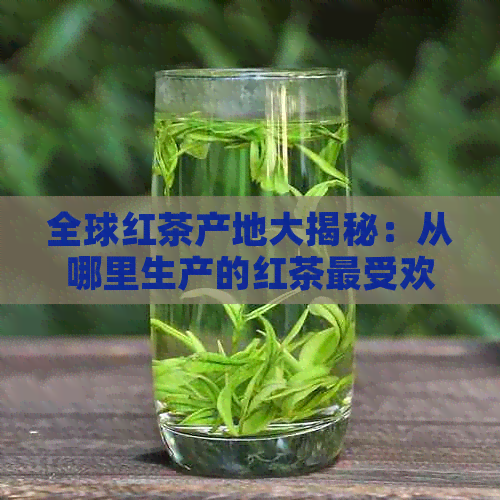 全球红茶产地大揭秘：从哪里生产的红茶更受欢迎？