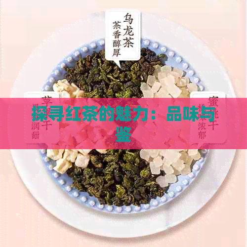 探寻红茶的魅力：品味与鉴