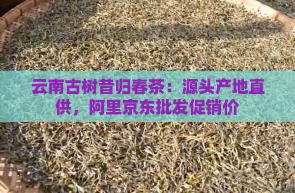 云南古树昔归春茶：源头产地直供，阿里京东批发促销价