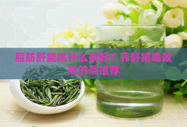 脂肪肝能喝什么茶好？养肝排效果的茶推荐