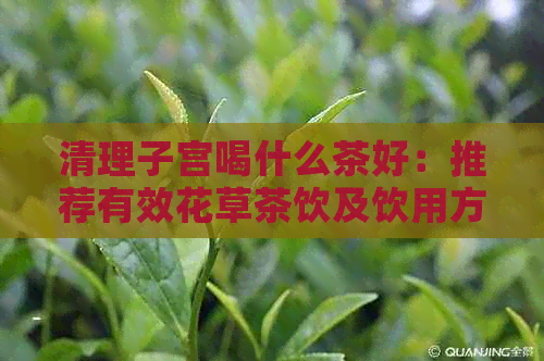 清理子宫喝什么茶好：推荐有效花草茶饮及饮用方法