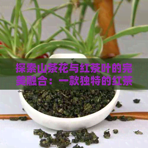 探索山茶花与红茶叶的完美融合：一款独特的红茶制作工艺