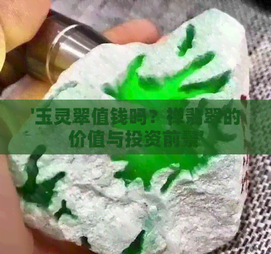 '玉灵翠值钱吗？禅翡翠的价值与投资前景'