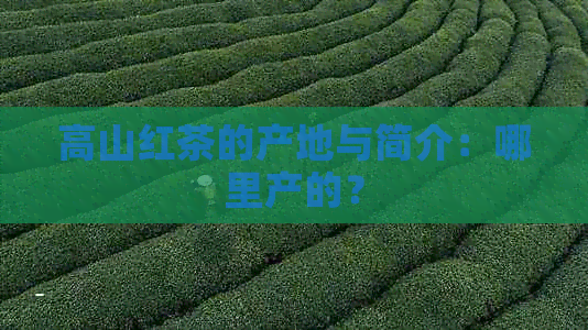 高山红茶的产地与简介：哪里产的？