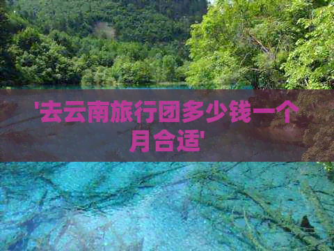 '去云南旅行团多少钱一个月合适'