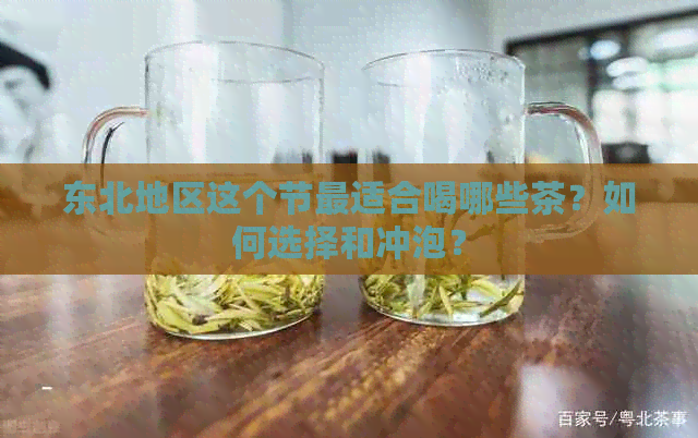 东北地区这个节最适合喝哪些茶？如何选择和冲泡？