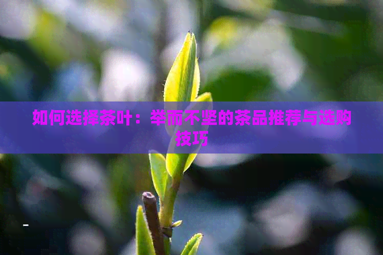 如何选择茶叶：举而不坚的茶品推荐与选购技巧