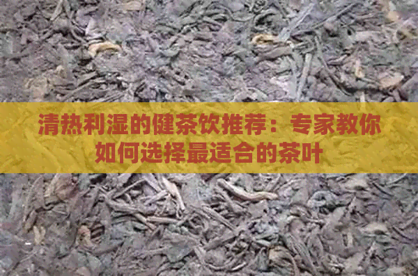 清热利湿的健茶饮推荐：专家教你如何选择最适合的茶叶