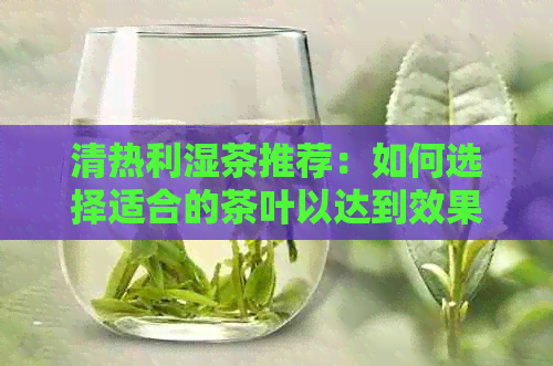 清热利湿茶推荐：如何选择适合的茶叶以达到效果？