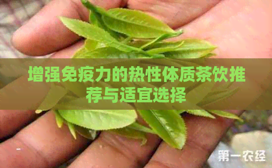 增强免疫力的热性体质茶饮推荐与适宜选择