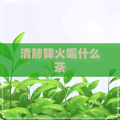 清肺降火喝什么茶