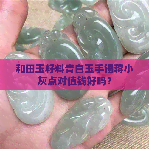 和田玉籽料青白玉手镯蒋小灰点对值钱好吗？