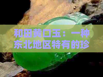 和田黄口玉：一种东北地区特有的珍贵玉石