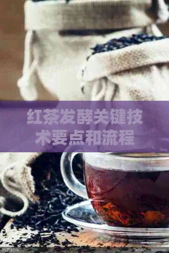 红茶发酵关键技术要点和流程