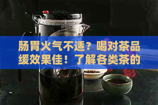 肠胃火气不适？喝对茶品缓效果佳！了解各类茶的调理功效与搭配建议