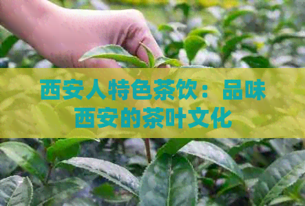 西安人特色茶饮：品味西安的茶叶文化