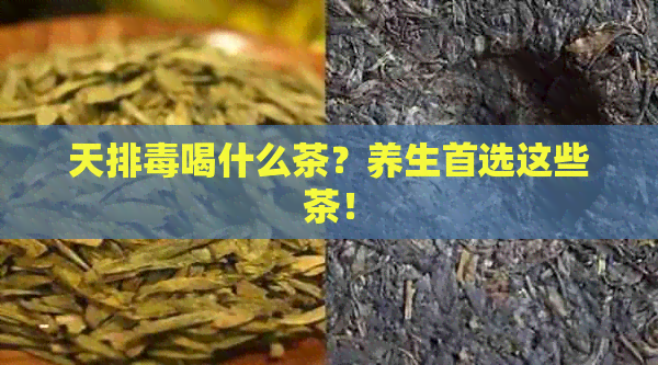 天排喝什么茶？养生首选这些茶！