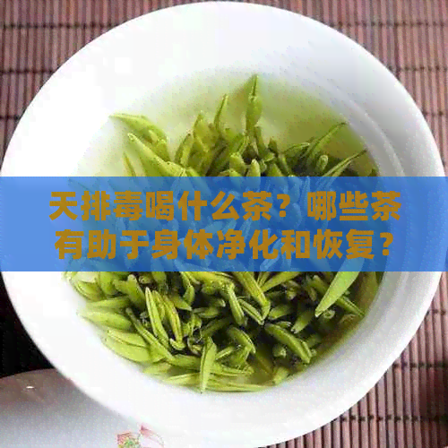 天排喝什么茶？哪些茶有助于身体净化和恢复？