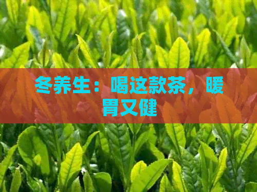 冬养生：喝这款茶，暖胃又健