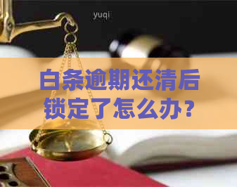 白条逾期还清后锁定了怎么办？何时可以再次使用？