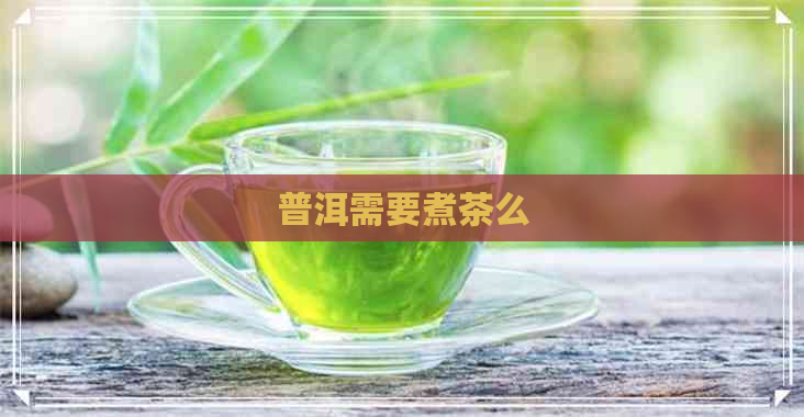 普洱需要煮茶么