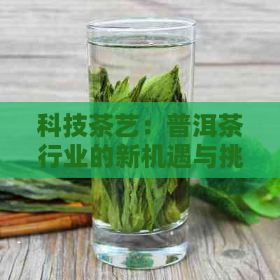 科技茶艺：普洱茶行业的新机遇与挑战