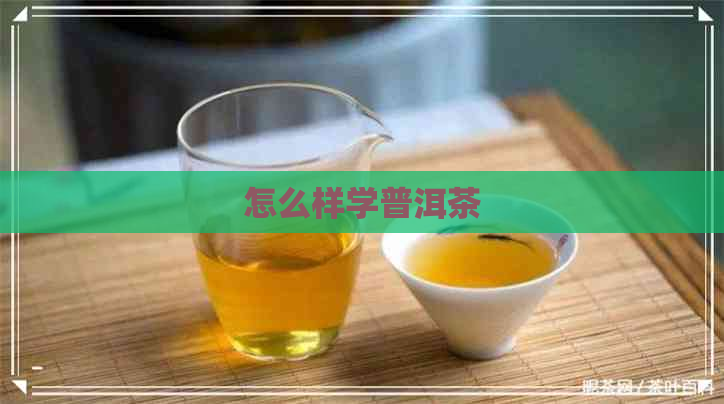 怎么样学普洱茶