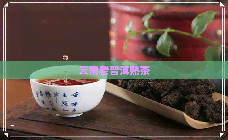 云南老普洱熟茶