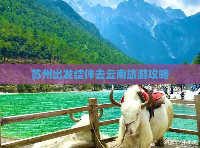 苏州出发结伴去云南旅游攻略