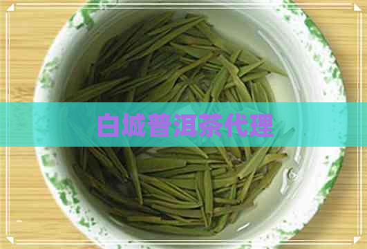 白城普洱茶代理