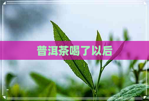 普洱茶喝了以后