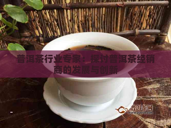 普洱茶行业专家：探讨普洱茶经销商的发展与创新