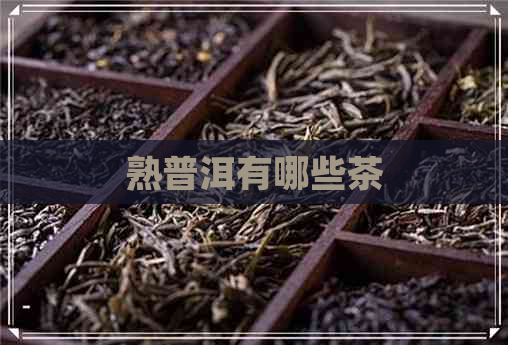 熟普洱有哪些茶