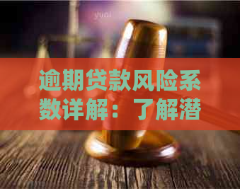 逾期贷款风险系数详解：了解潜在影响与应对策略