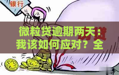 微粒贷逾期两天：我该如何应对？全面解决用户还款问题和应对策略