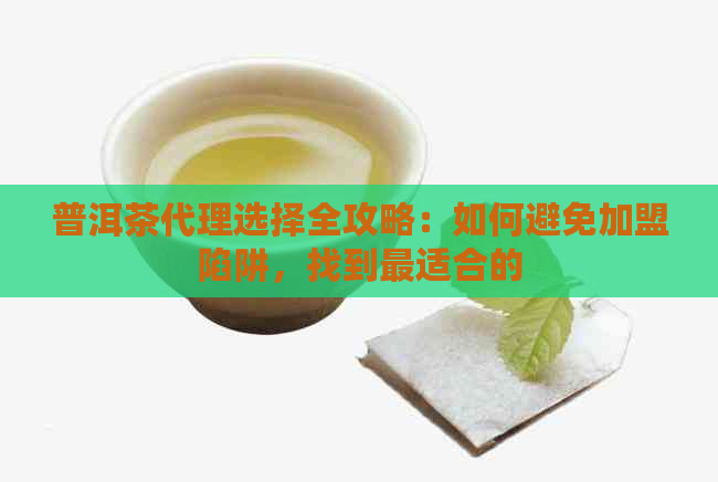 普洱茶代理选择全攻略：如何避免加盟陷阱，找到最适合的