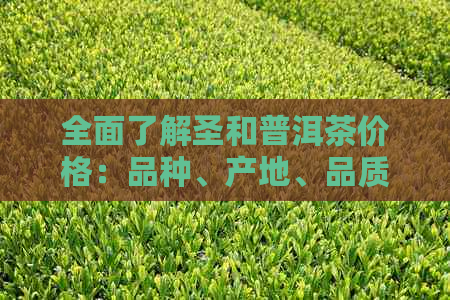 全面了解圣和普洱茶价格：品种、产地、品质等因素的影响及市场行情分析