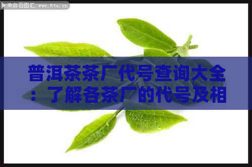 普洱茶茶厂代号查询大全：了解各茶厂的代号及相关信息。