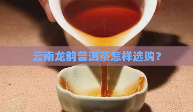 云南龙韵普洱茶怎样选购？