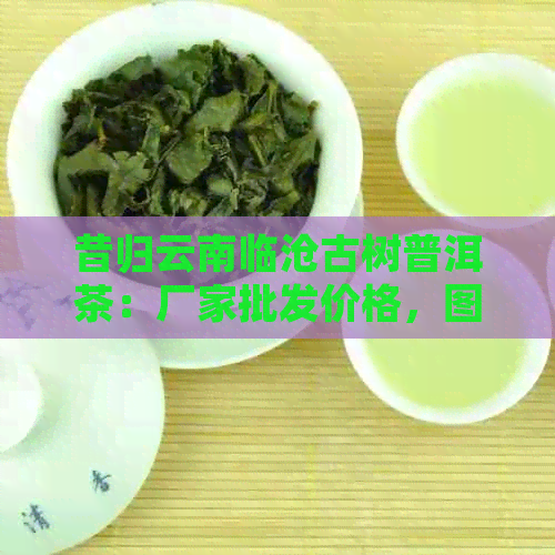 昔归云南临沧古树普洱茶：厂家批发价格，图片，京东购