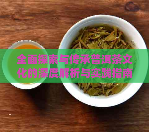 全面探索与传承普洱茶文化的深度解析与实践指南ppt