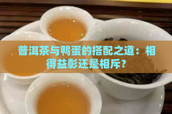 普洱茶与鸭蛋的搭配之道：相得益彰还是相斥？