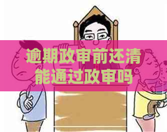 逾期政审前还清能通过政审吗