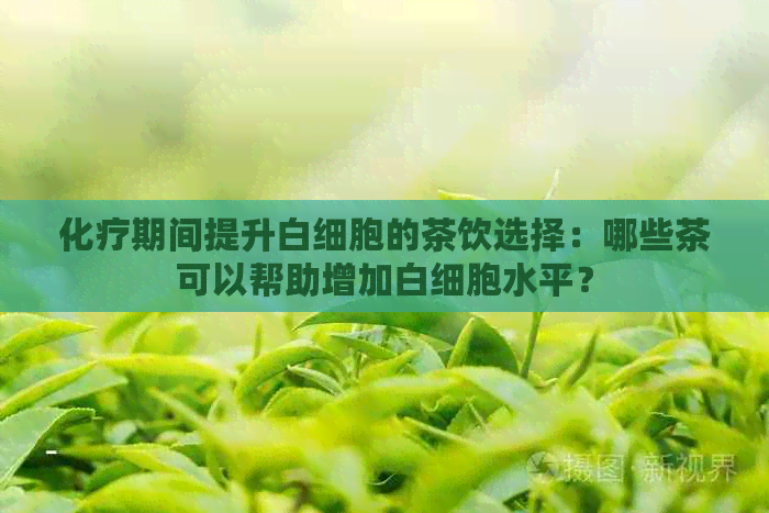 化疗期间提升白细胞的茶饮选择：哪些茶可以帮助增加白细胞水平？